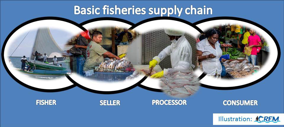 Basic-fisheries-supply-chai