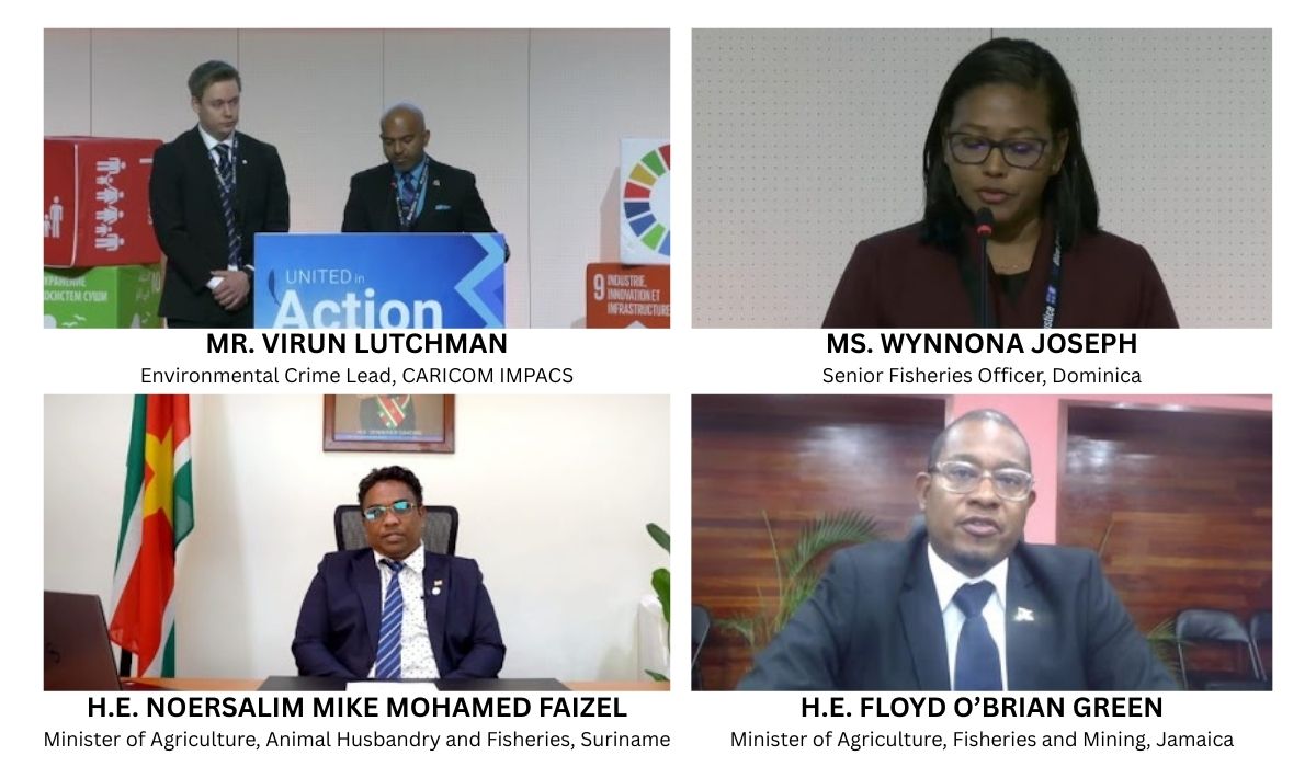 Blue Justice 2025 Country Insights