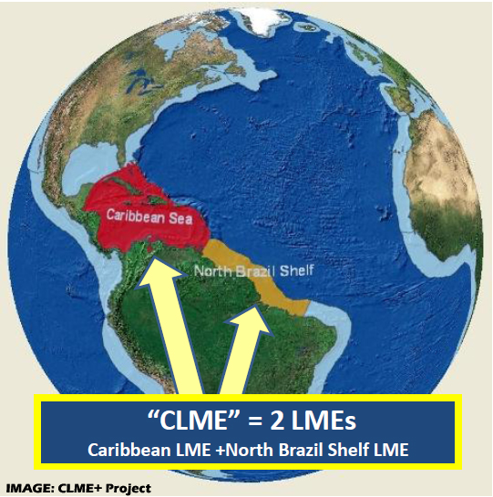 CLME globe
