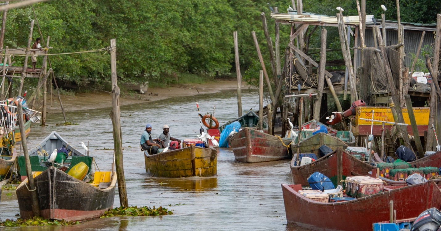 Guyana fisheries sector