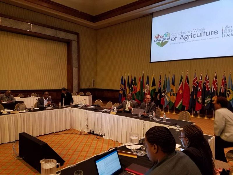 Ministerial Council meeting 1