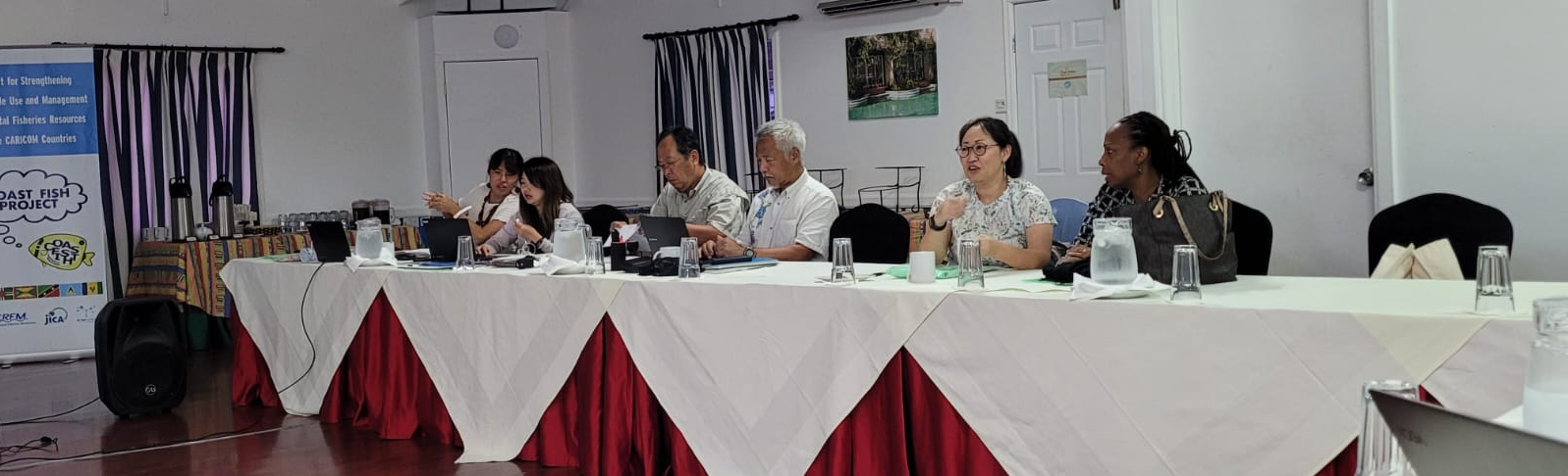 Workshop participants discuss COASTFISH's second phase (Photo: JICA)