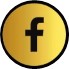 facebook-fin