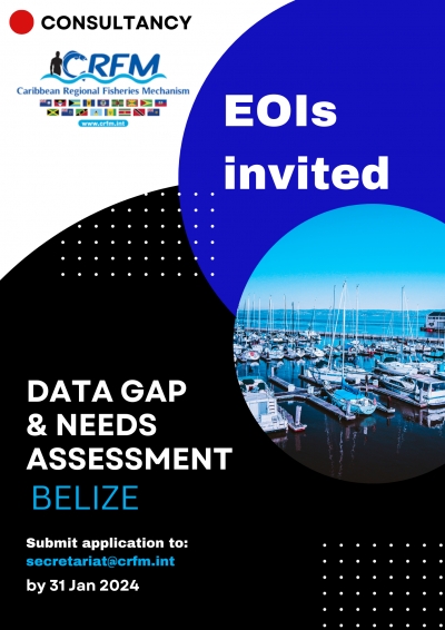 Consultancy - Data Gap &amp; Needs (BZ)