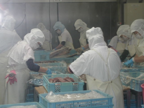 Caribbean fisheries managers focus on innovation and cooperation at 12th Forum Meeting in Dominica