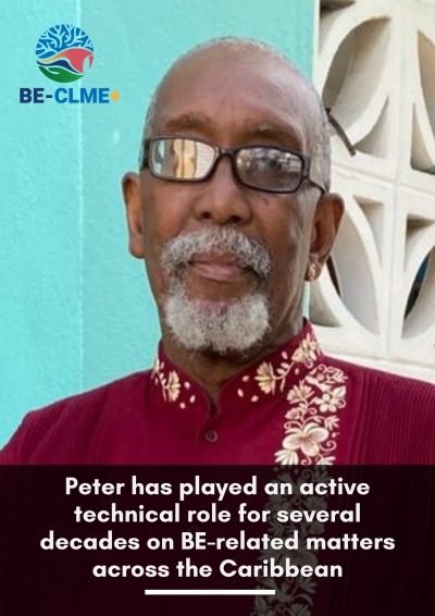 Peter A. Murray is the new Regional Project Coordinator for the BE-CLME+ Project