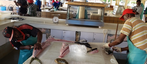 Fisheries and aquaculture employ hundreds of thousands of workers across the Caribbean. The sector is a major contributor to the region&rsquo;s economies, as well as to sustainable livelihoods, and food and nutrition security. 