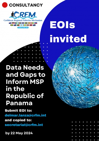 Request for Expressions of Interest (EOI) for National Consultancy that Analyses Data Needs and Gaps to Inform MSP in the Republic of Panama