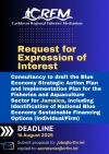 Consultancy to draft the Blue Economy Strategic Action Plan and Implementation Plan for the Fisheries and Aquaculture Sector for Jamaica, including  Identification of National Blue Economy Sustainable Financing Options (Individual/Firm)