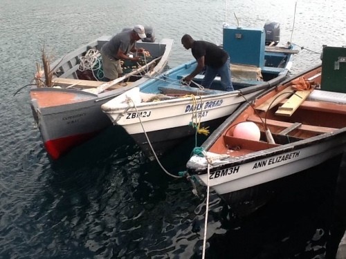 Government of Montserrat initiative lead the way in Marine Resource Management