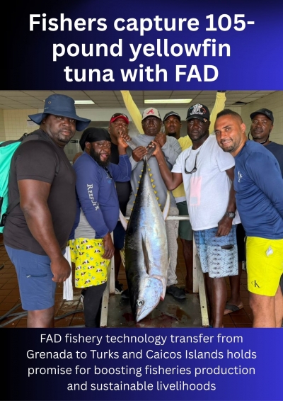 Fisher exchange with Grenada prepares Turks and Caicos Islands for launch of a sustainable FAD fishery