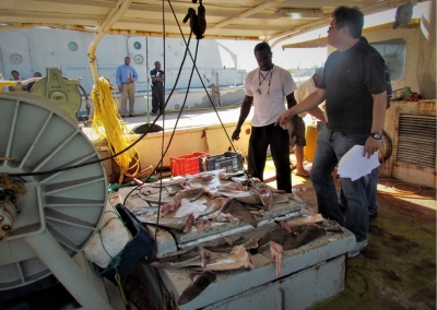 Documentation of illegal catches is needed to properly estimate economic impacts of IUU fishing