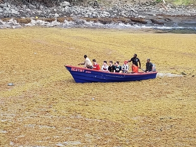 Fishing boat navigating through Sargassum-inundated waters in St. Vincent and the Grenadines