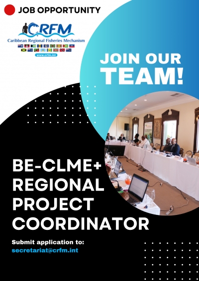 Regional Project Coordinator - Blue Economy