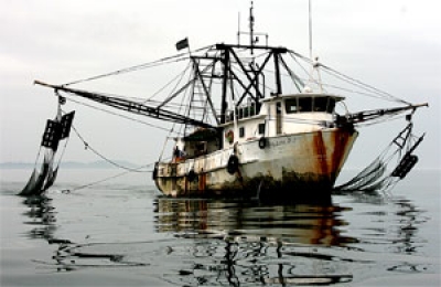 IUU fishing is a regional and international concern