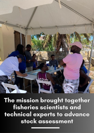 CRFM Supports Regional Queen Conch Mission in the Turks and Caicos Islands