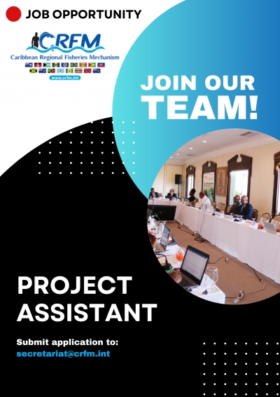 Project Assistant - Sargassum Project