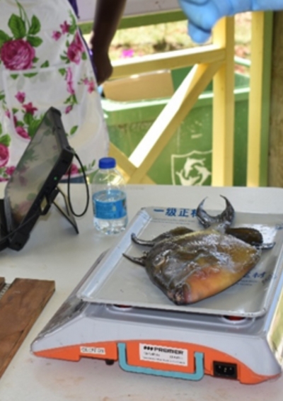 CRFM collaborates with EU-funded, OECS-led BioSPACE Project to support digitization for Anguilla Fisheries