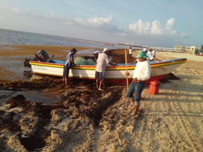 Sargassum Products for Climate Resilience to mitigate harsh impacts on Caribbean States