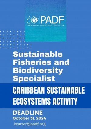 INDIVIDUAL CONSULTANCY: Sustainable Fisheries and Biodiversity Specialist